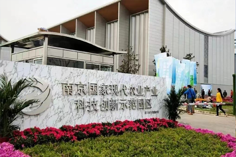 南京农创园零星工程审计